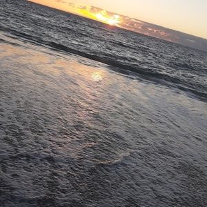 Meet your Posher, Amelia